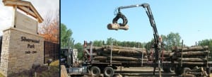 Reclaiming Urban Wood - Three Rivers Park District - Minneapolis