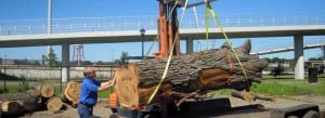 Rick Siewert Wood From The Hood
