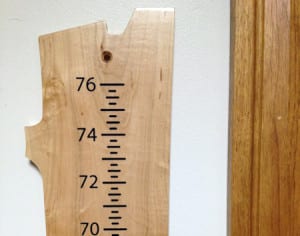 Growth Chart Wood From the Hood