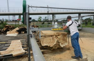 Cutting Reclaimed Box Elder Slab Wood From the Hood