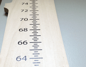 Recycled Growth Chart Wood From the Hood Unfinished