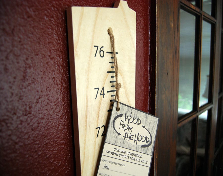 Growth-Chart-Ash-Close-up-web