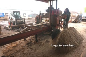 sawdust to organic compost wood from the hood mississippi mushrooms