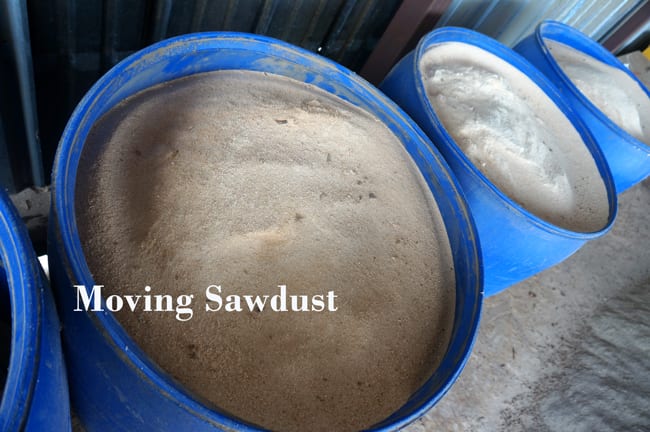 sawdust to organic compost wood from the hood mississippi mushrooms