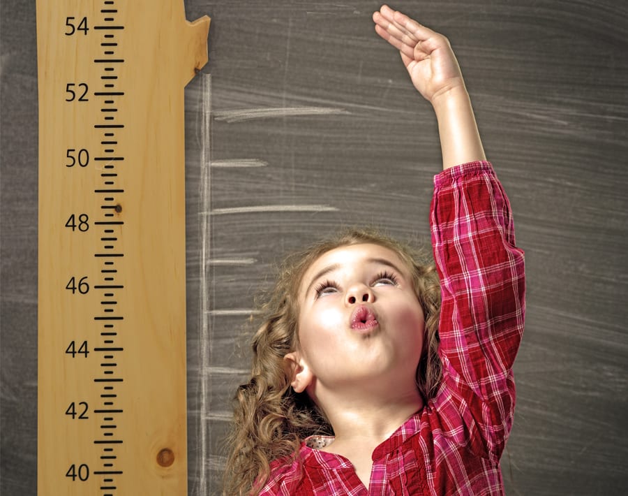 Pine Growth Chart Wood From The Hood Pine Growth Chart Wood From The Hood