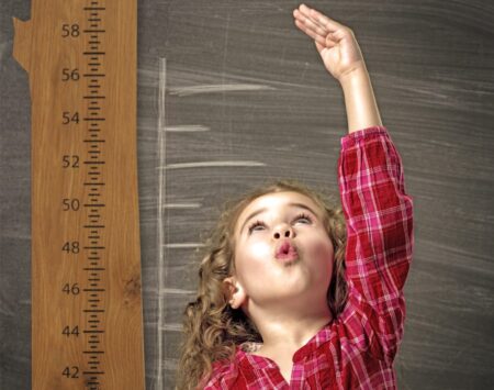 White Oak Growth Chart Wood From The Hood White Oak Growth Chart Wood From The Hood