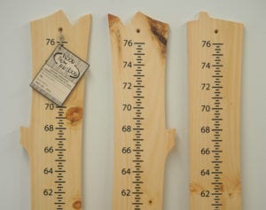 Growth Chart - Pine - Finished