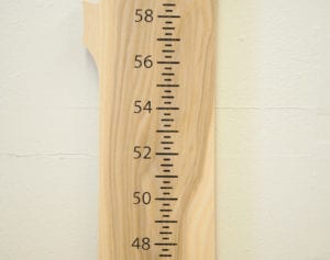 Growth Chart - Hackberry - Unfinished