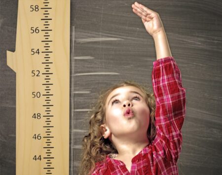 Hackberry Growth Chart Wood From The Hood
