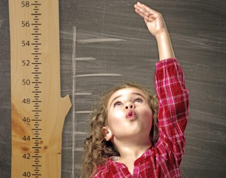 Pine Unfinished Growth Chart Wood From The Hood Minneapolis
