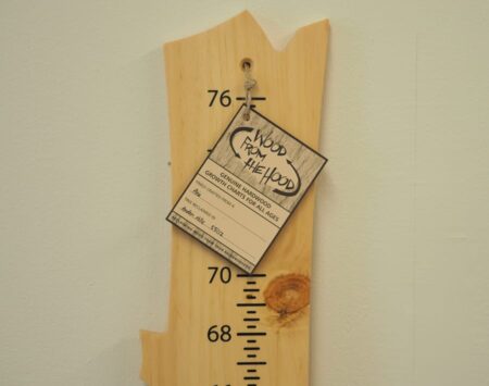 Growth Chart - Pine - Finished Growth Chart - Pine - Finished