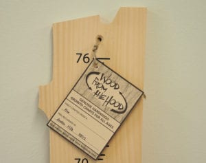 Growth Chart - Pine - Unfinished