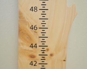 Growth Chart - Pine - Unfinished