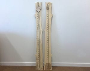 Growth Chart - Hackberry - Finished