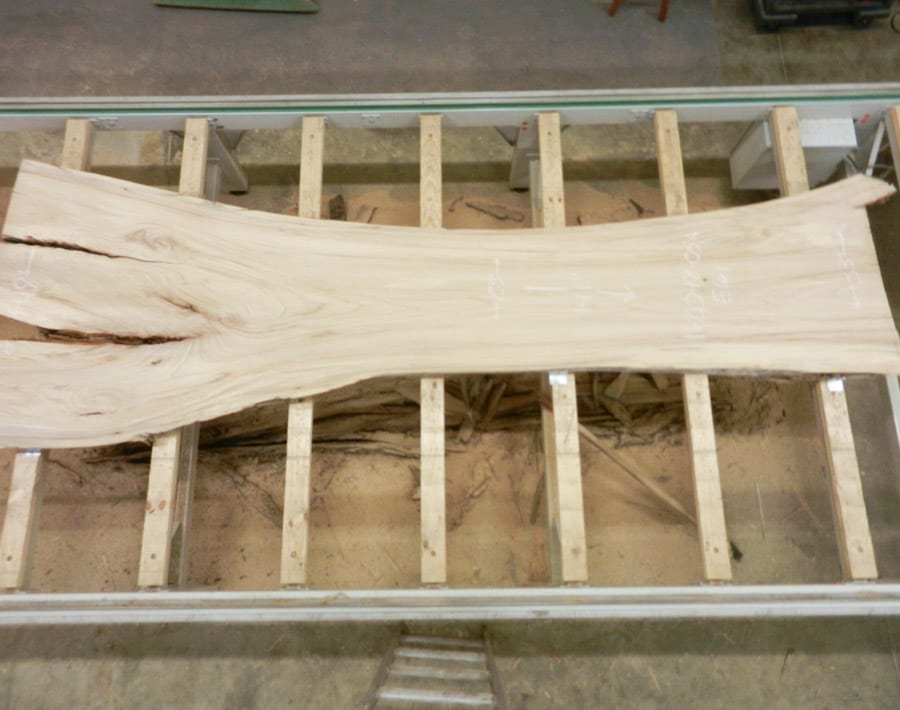 American Elm Live Edge Slab Wood From the Hood Minneapolis
