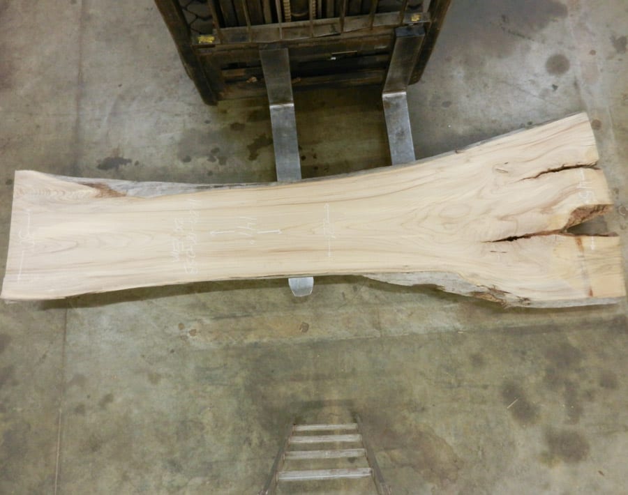 American Elm Live Edge Slab Wood From the Hood Minneapolis