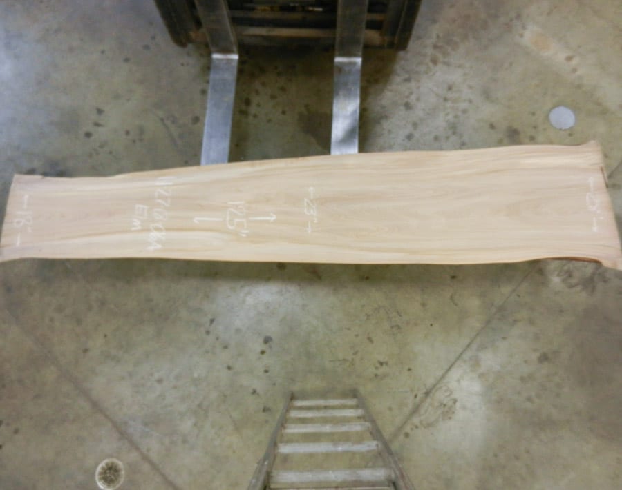 American Elm Live Edge Slab Wood From the Hood Minneapolis