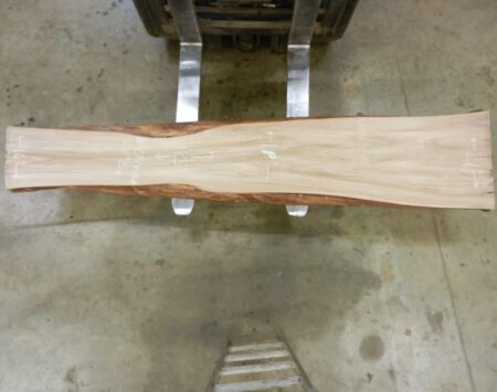 American Elm Live Edge Slab Wood From the Hood Minneapolis