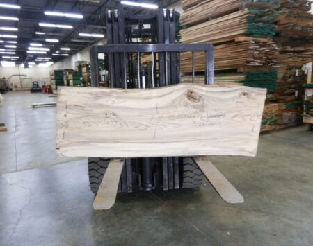 Hackberry Slabs