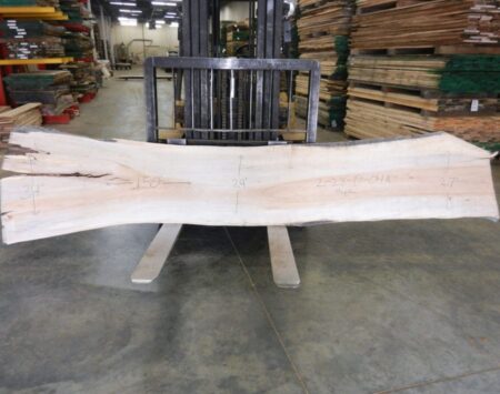 Silver Maple Slabs