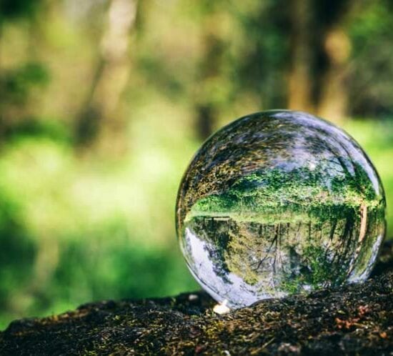 Ways to Give Back This Spring and Build a Healthy, Sustainable Environment