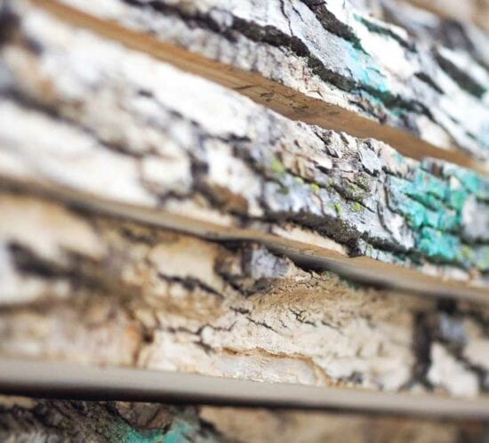 Live Edge Wood Slabs Minneapolis Wood From the Hood