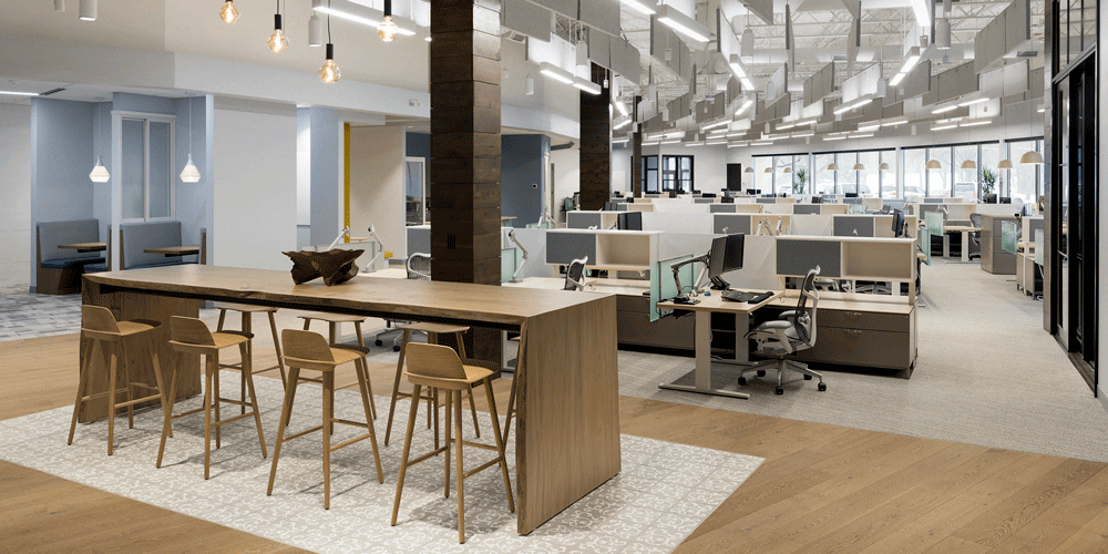 Live-Edge Elm Wood Table | Wood Communal Table | Reclaimed Elm Tree | Wood From The Hood | Minneapolis | Marvin Windows and Doors Offices