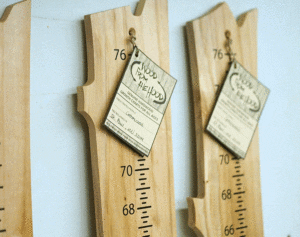 Cottonwood Growth Chart Wood From The Hood