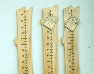 Growth Chart - Cottonwood - Finished
