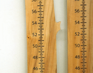 Growth Chart - Cottonwood - Finished