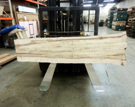 Sugar Maple Slabs