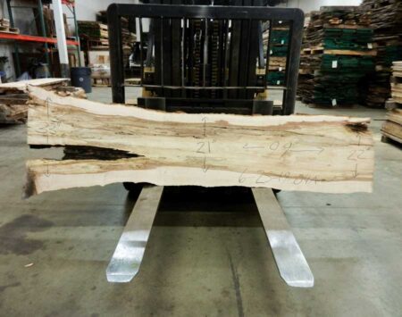 Sugar Maple Natural Edge Slab #6-25-19-04 (99" x 25" x 2.25")