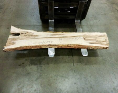 Sugar Maple Natural Edge Slab #6-25-19-04 (99" x 25" x 2.25") Sugar Maple Natural Edge Slab #6-25-19-04 (99" x 25" x 2.25")