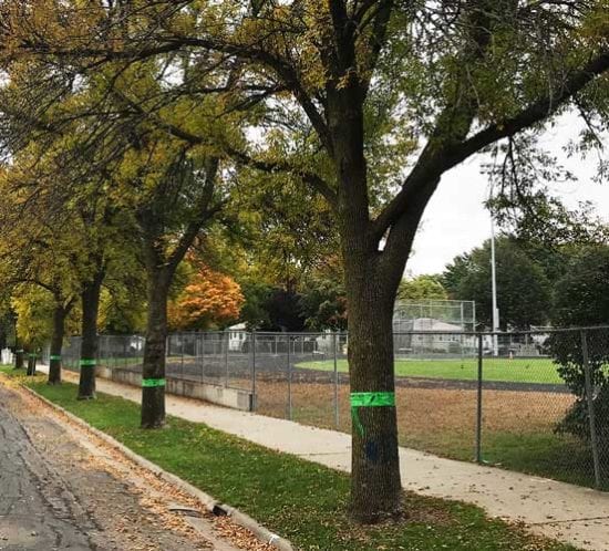 2019 Fall Conference Arbor Ethics: Arborists Aspiring To Do The Right Thing​