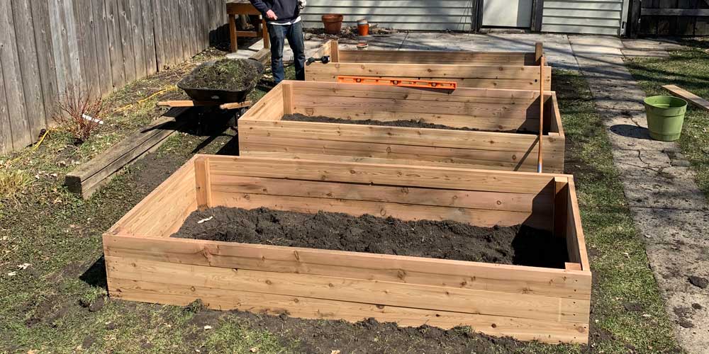 A Time to Plant A Time to Come Together Wood From The Hood