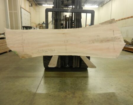 Silver Maple Wood Slab #2-5-21-06