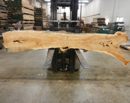 Boxelder Natural Edge Slab #3-31-23-01