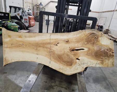 Ash Natural Edge Slab #1-3-24-01