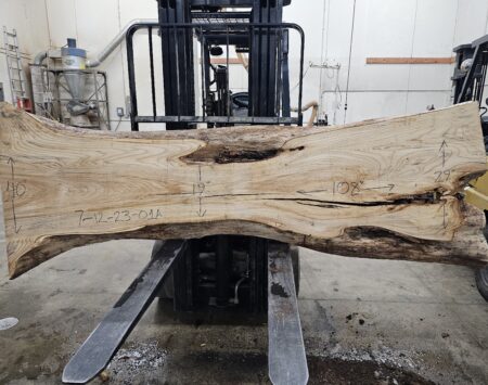 American Elm Wood Slab #7-12-23-01