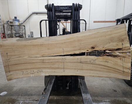 American Elm Wood Slab #7-12-23-04