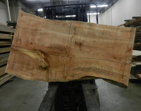 Silver Maple Natural Edge Slab #9-6-23-03