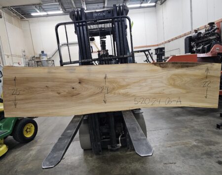 American Elm Wood Slab #5-20-24-06