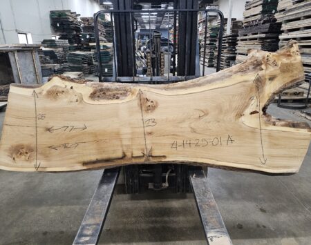American Elm Wood Slab #4-14-25-01