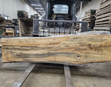 American Elm Wood Slab #4-2-25-03