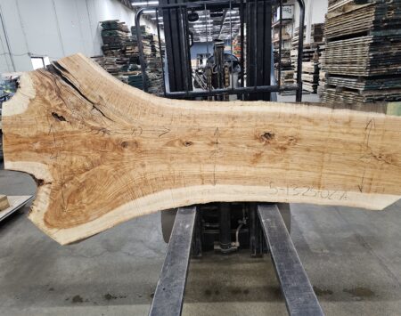 Ash Natural Edge Slab #5-13-25-02