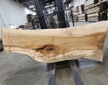 Silver Maple Natural Edge Slab #5-31-25-01