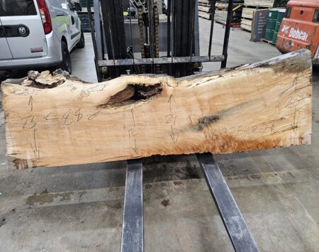 Silver Maple Natural Edge Slab #6-3-25-02-2