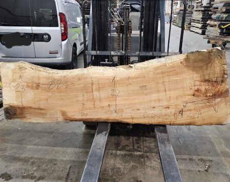 Silver Maple Natural Edge Slab #6-3-25-04-2