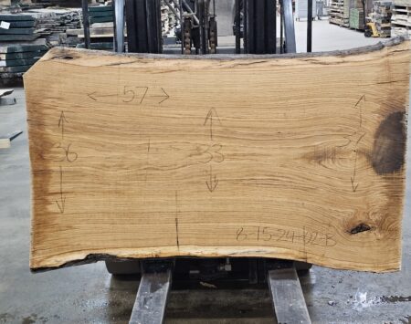 White Oak Natural Edge Slab #8-15-24-02
